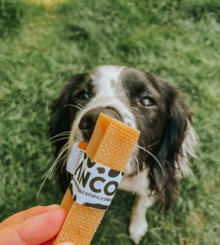 Anco Moo Chew