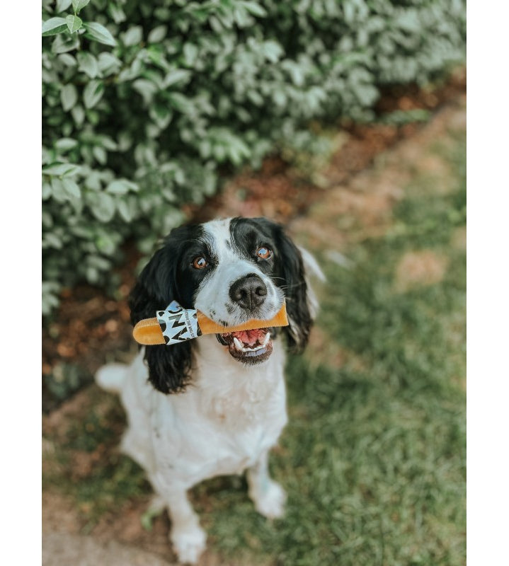 Anco Moo Chew