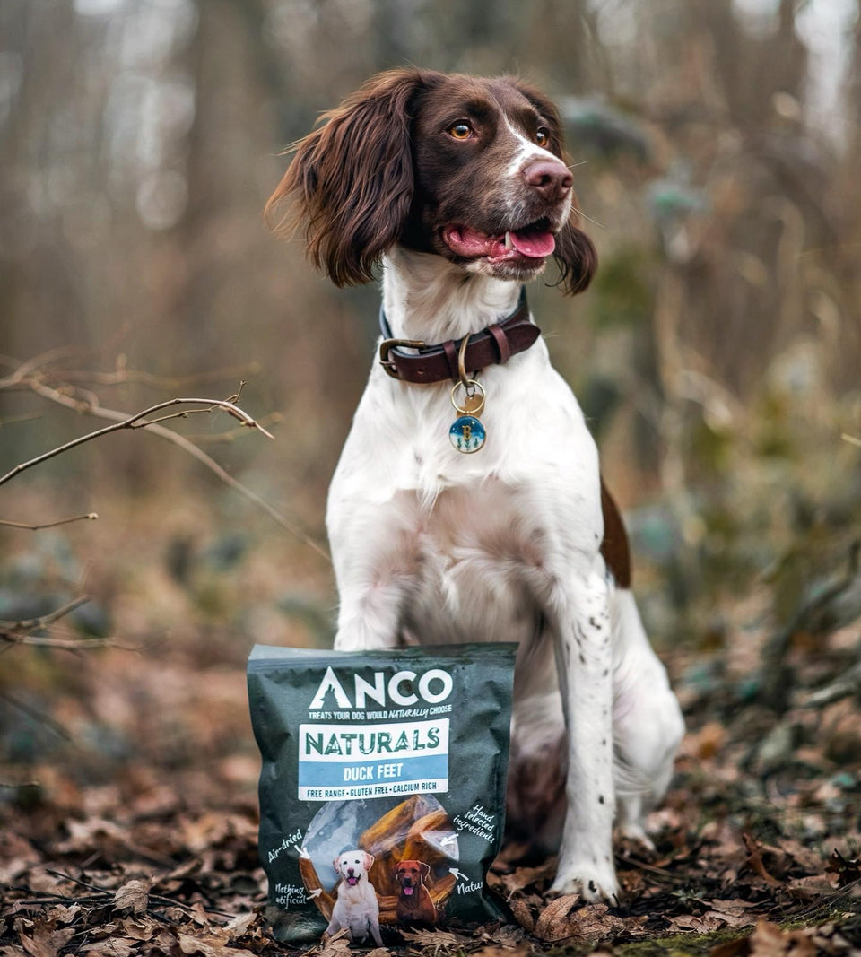 Anco Naturals Duck Feet 100g