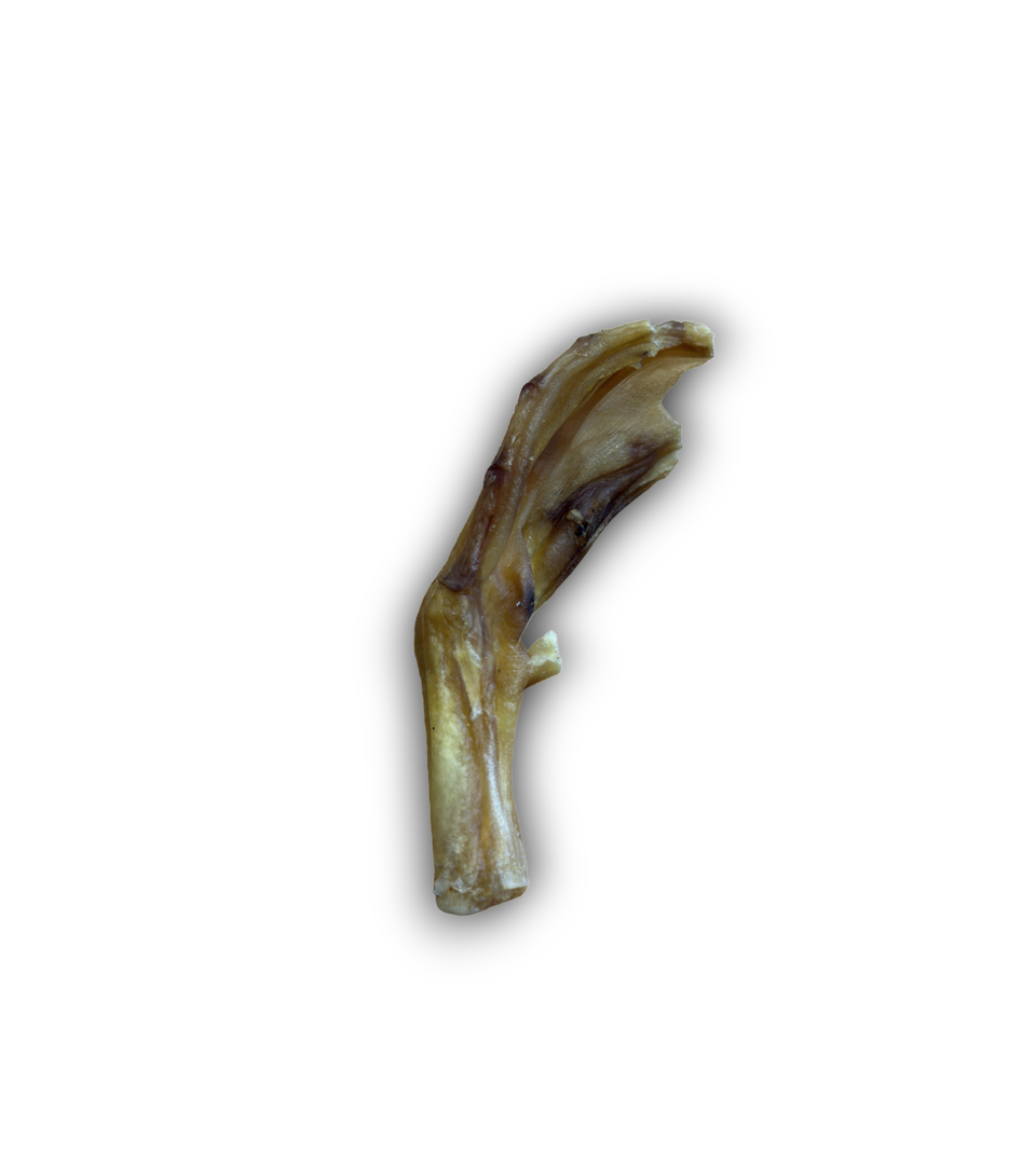 Anco Naturals Duck Feet 100g