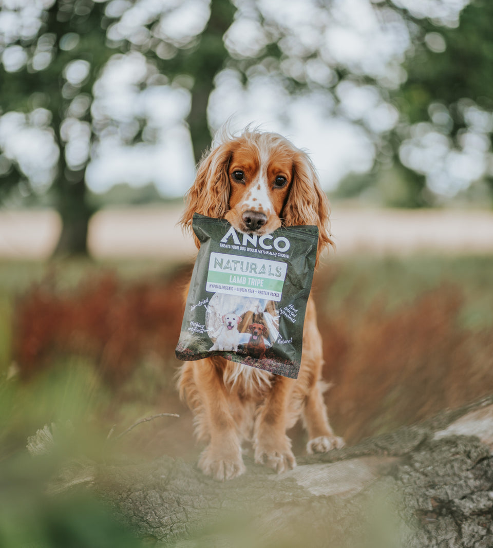Anco Naturals Lamb Tripe 100g