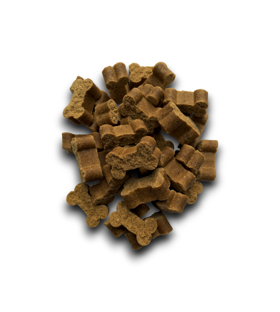 Anco Fusions Beef & Rabbit 100g