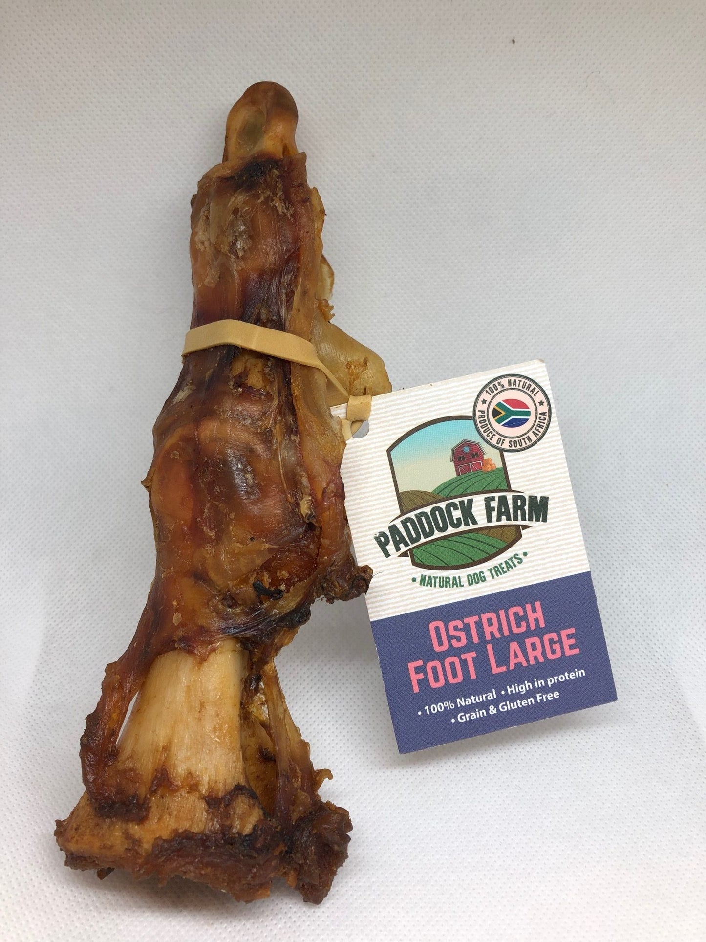 Ostrich Foot Large