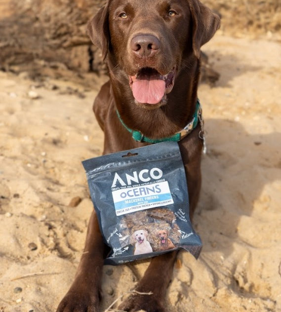 Anco Oceans Mackerel Fingers with Cod 100g