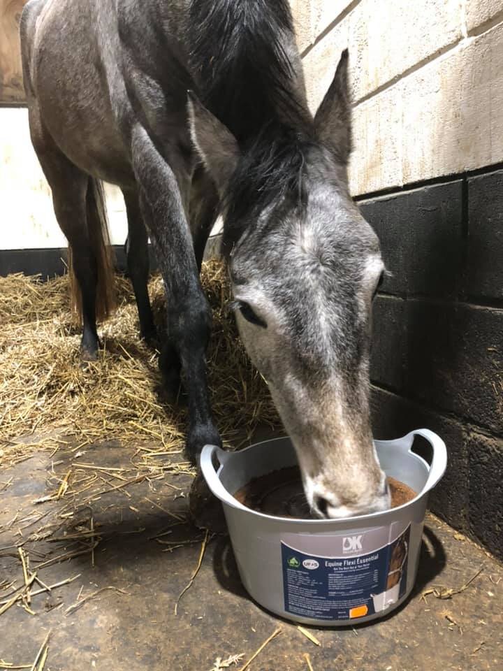DK Equine Flexi Tub Feed Essential 12.5kg