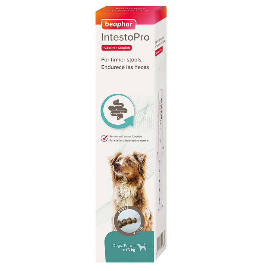 Beaphar IntestoPro Probiotic For Medium & Large Dogs >15kg 2x20ml
