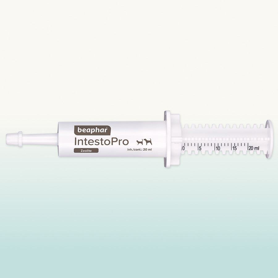 Beaphar IntestoPro Probiotic For Medium & Large Dogs >15kg 2x20ml