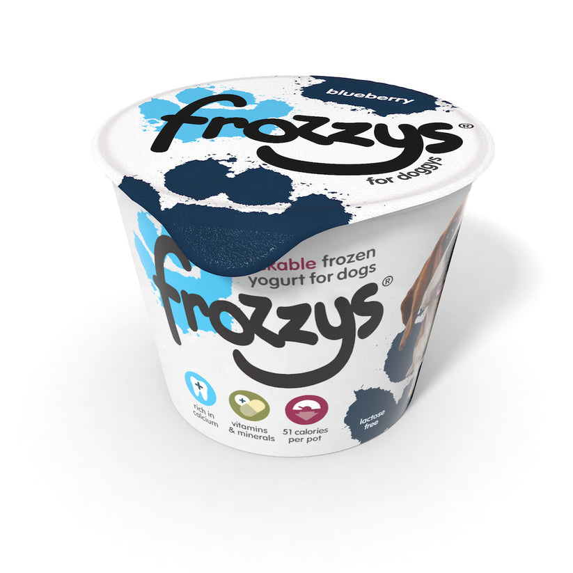 Frozzys Frozen Yogurt - Blueberry