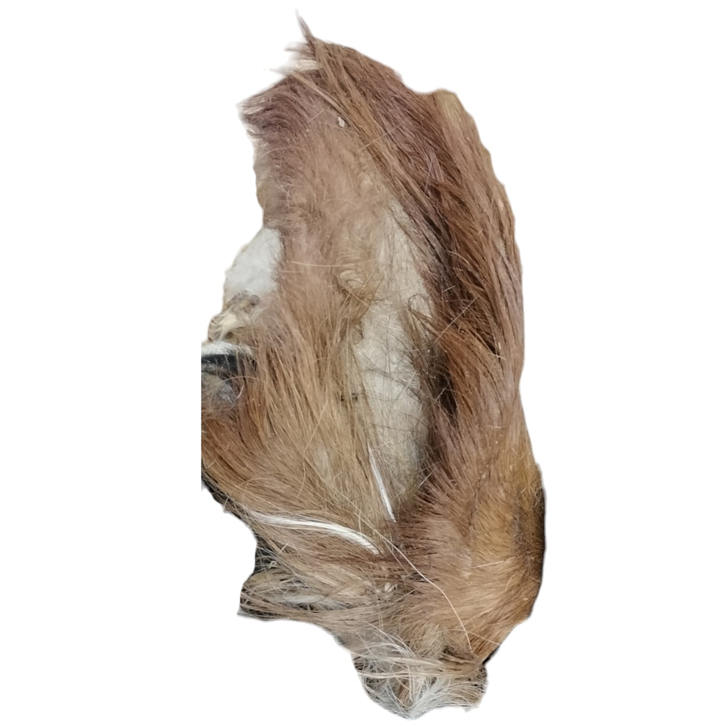 Hairy Cow Ears