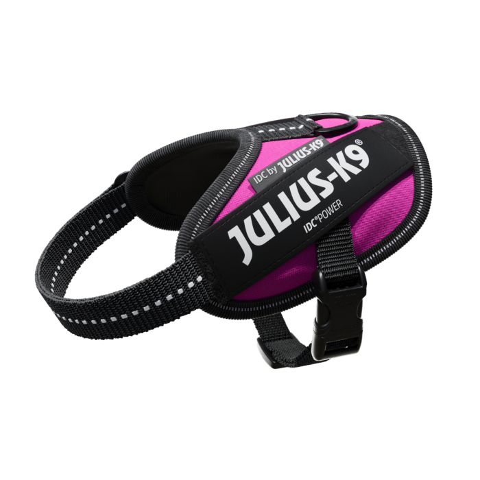 Julius-k9 IDC® Powerharness - Colour Dark Pink