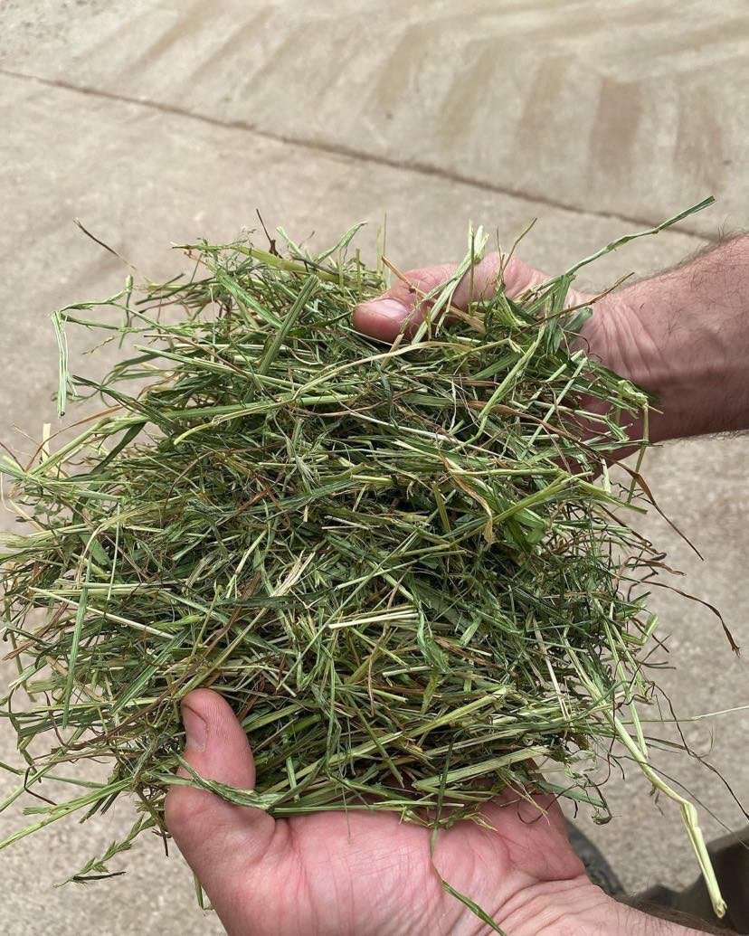 Fearns Farm Premium Dried Grass 10kg