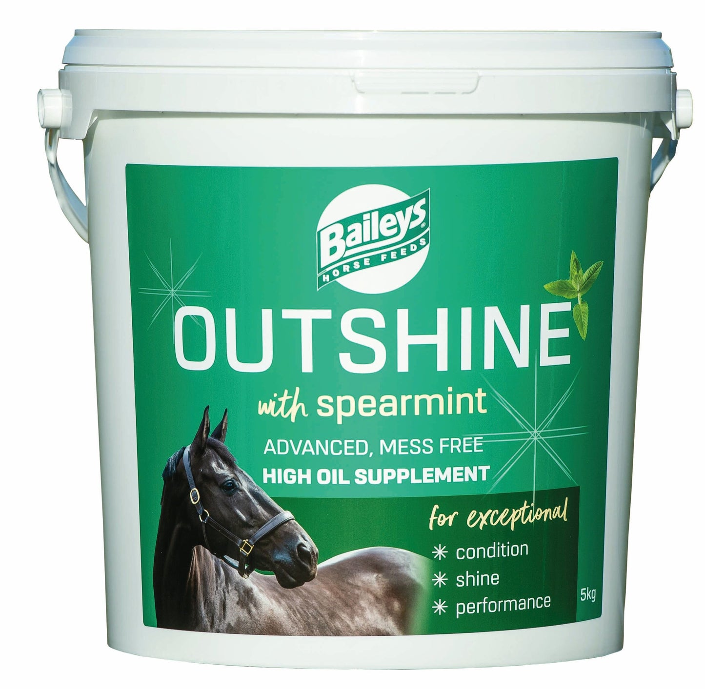 Baileys Outshine Spearmint 5kg