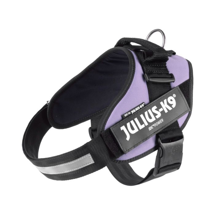 Julius-k9 IDC® Powerharness - Colour Purple