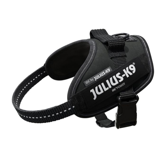 Julius-k9 IDC® Powerharness - Colour Black