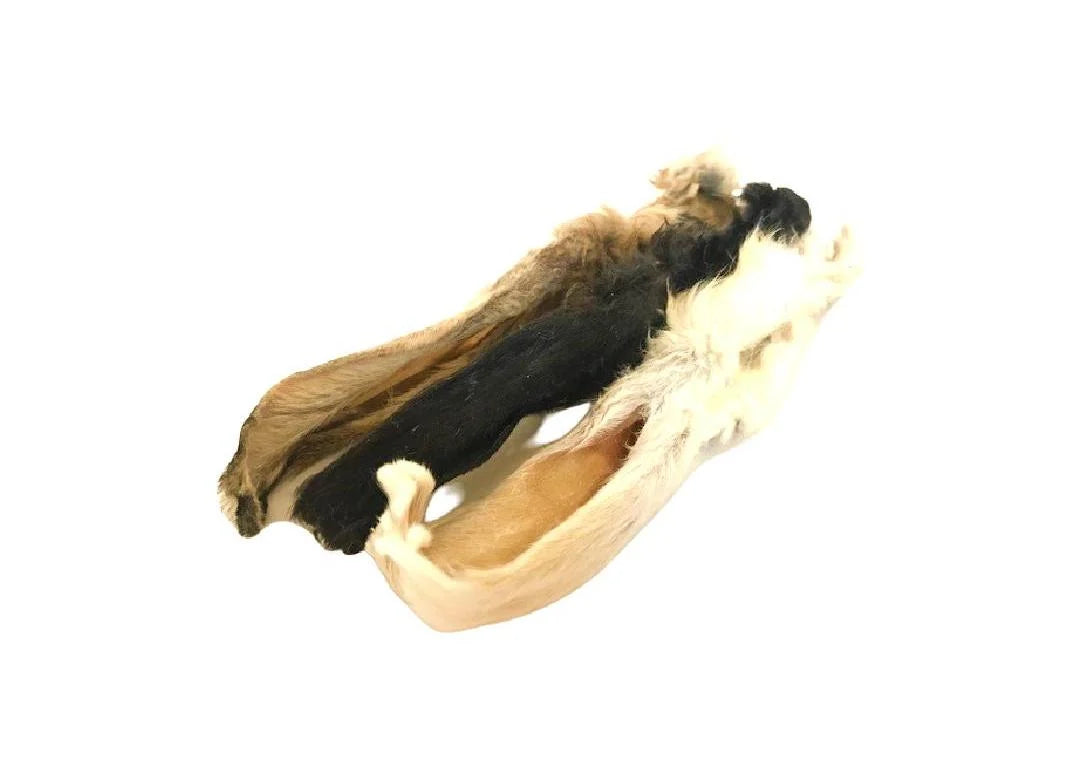 Rabbit Ears with Fur