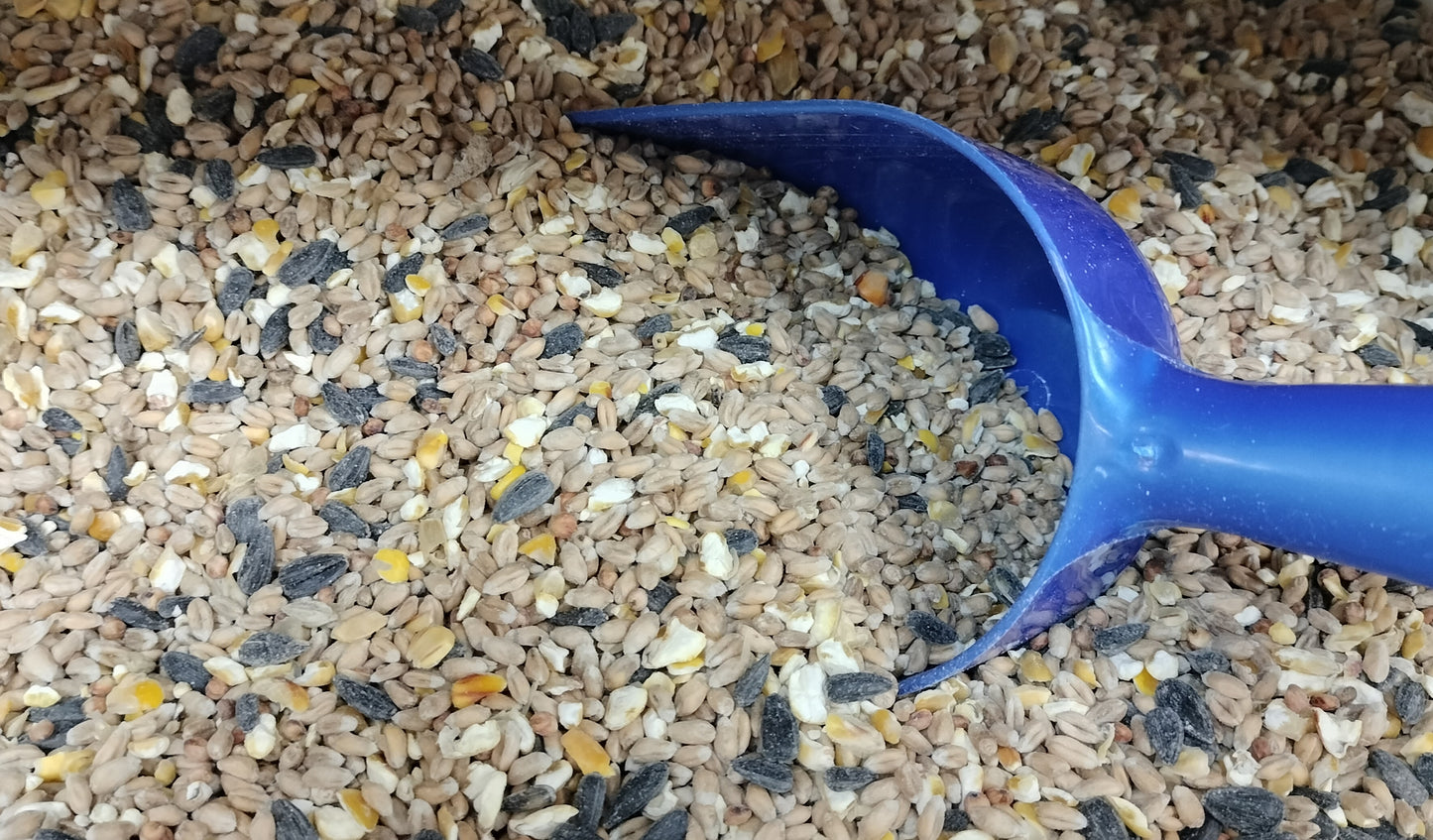 Wild Bird Seed 1kg
