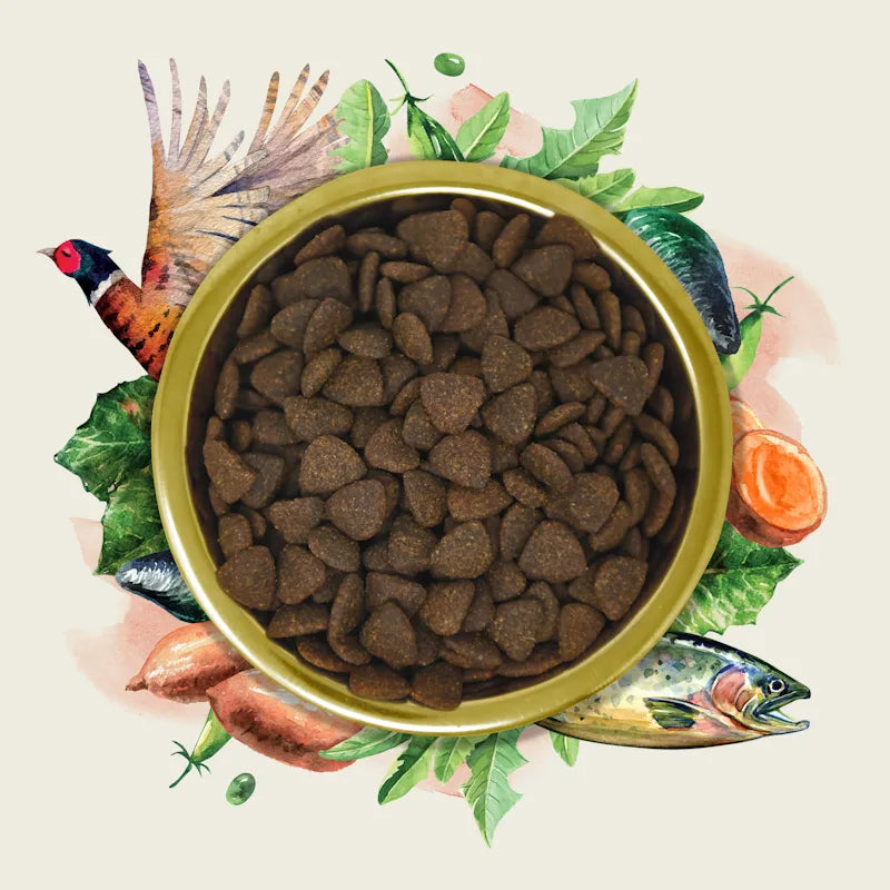 Eden Gourmet Range Salmon & Pheasant 2KG