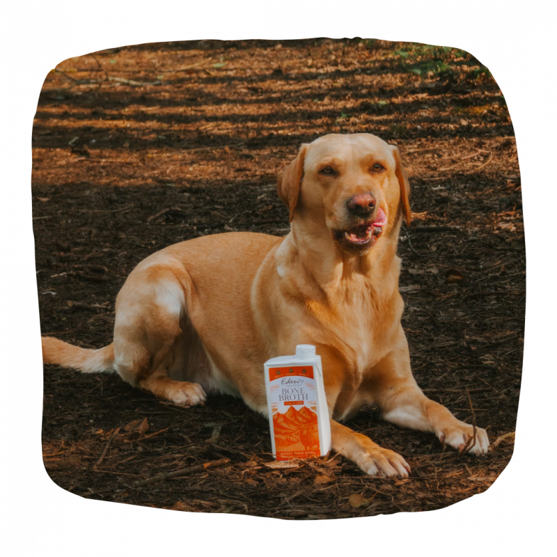 Eden Nordic Lamb Bone Broth 500ml