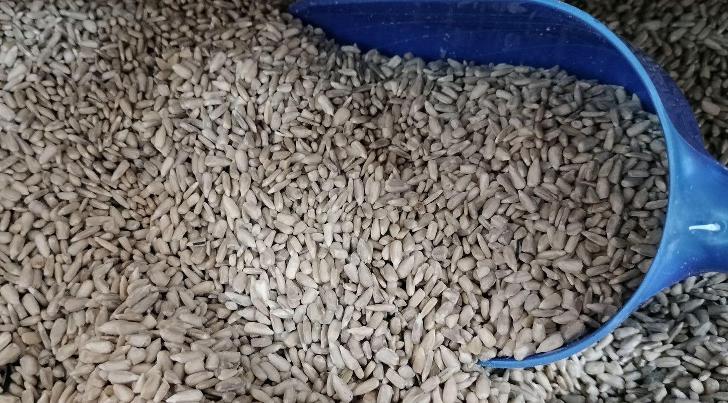 Sunflower Hearts 1kg