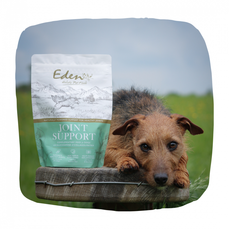 Eden Joint Support 250g