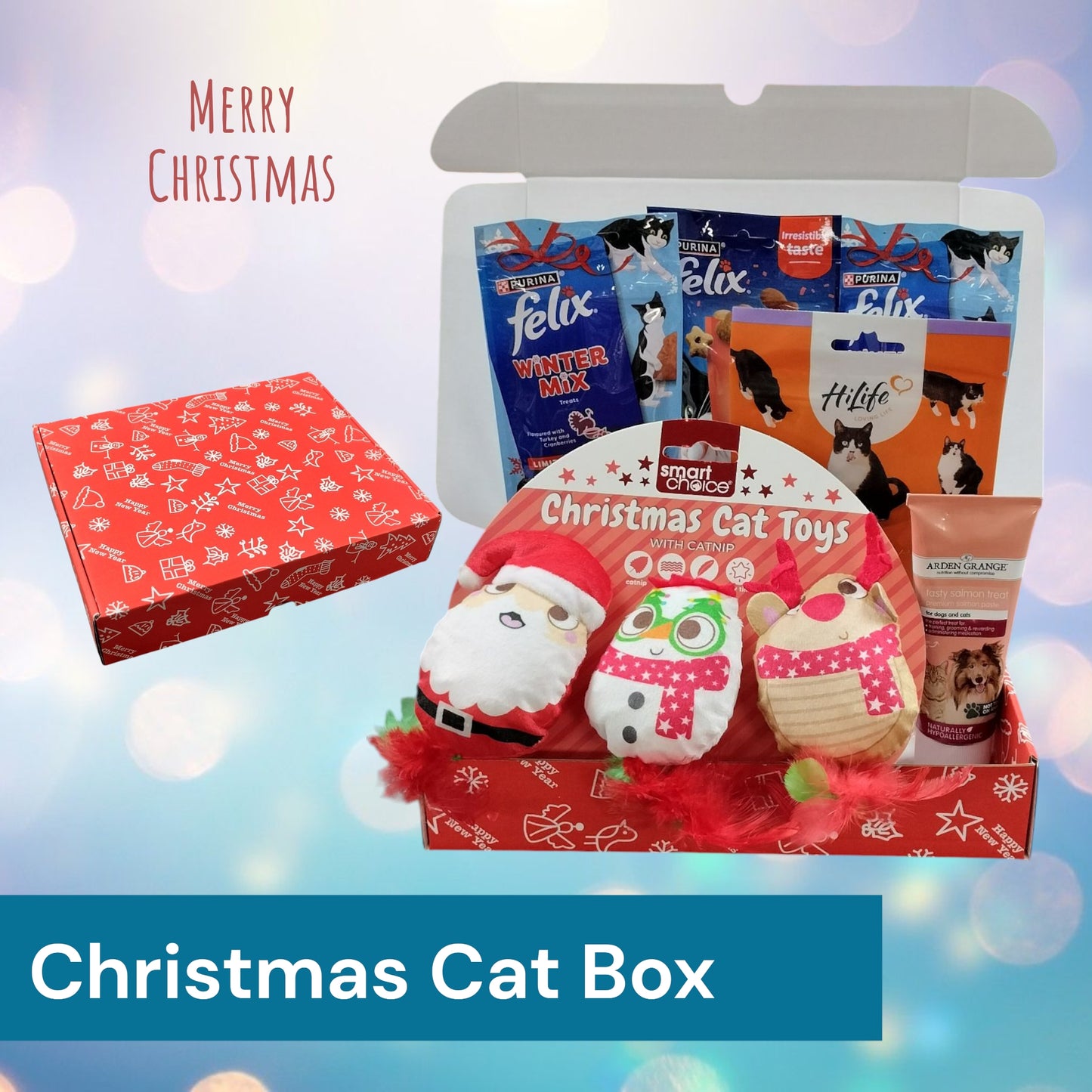 Christmas Cat Box 🎅🏻