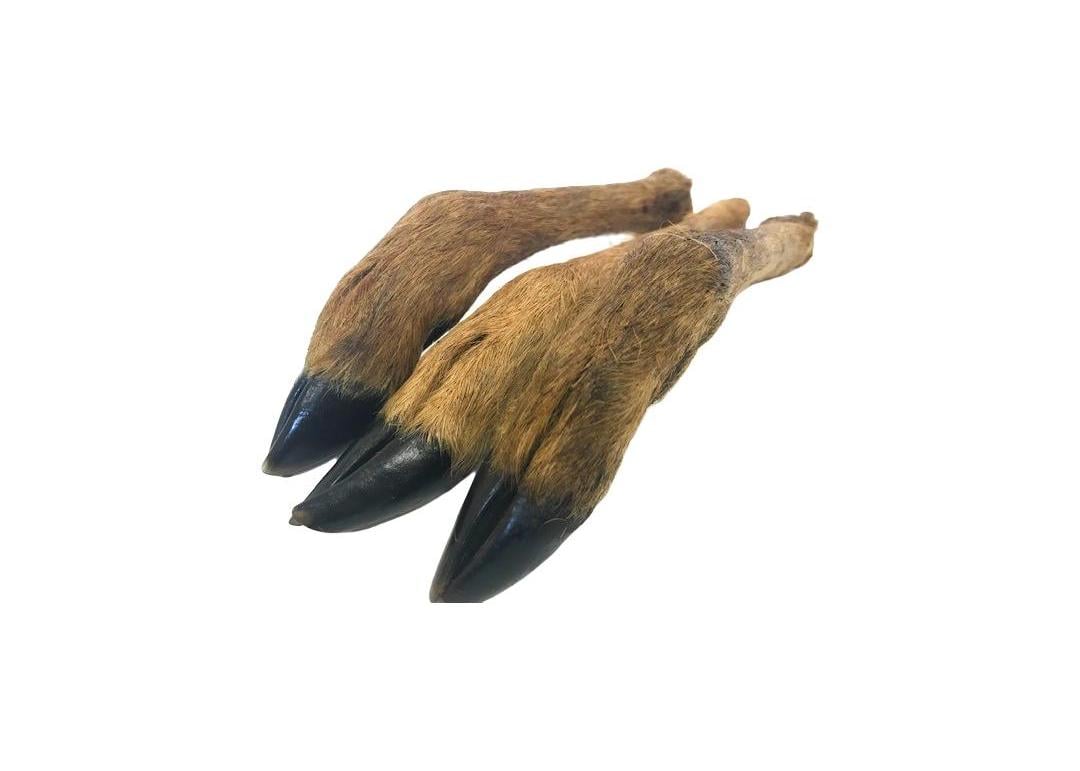 Venison Legs Small with Fur