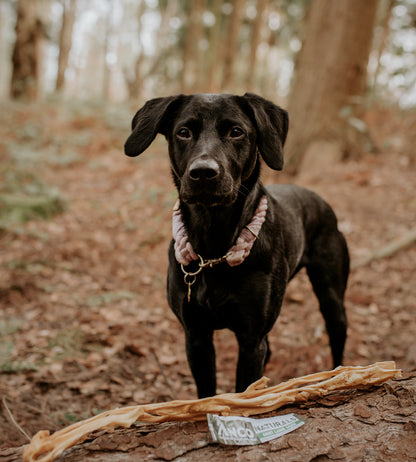 Anco Naturals Giant Lamb Stick