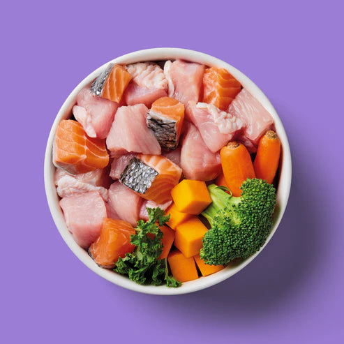 Nutriment Raw Salmon & Turkey 1.4kg