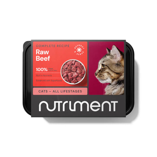 Cat Raw Beef 500g