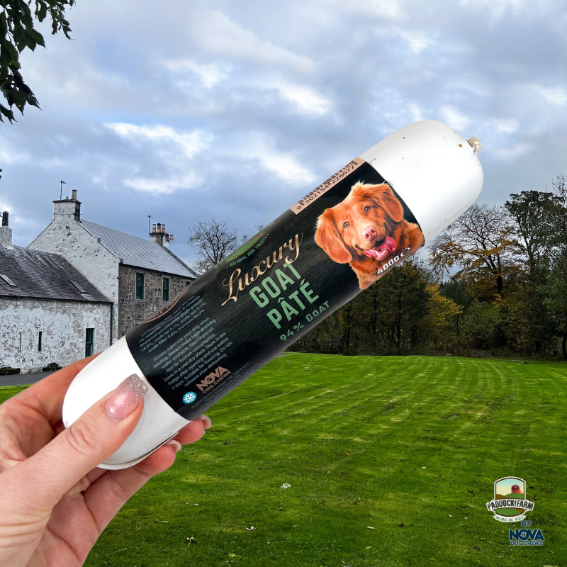 Luxury Goat Pate 400g