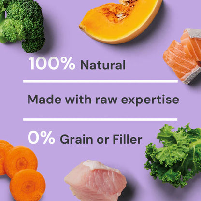 Nutriment Raw Salmon & Turkey 500g
