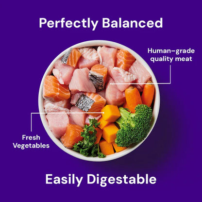 Nutriment Raw Salmon & Turkey 500g