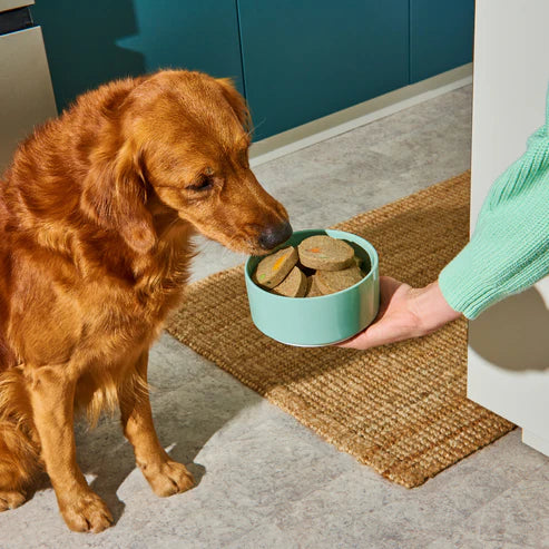 Nutriment Fresh Medallions - Salmon 800g