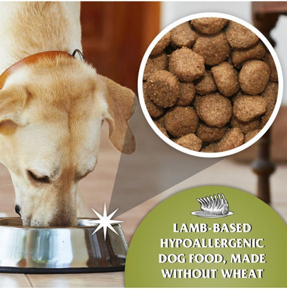 Dr John Hypoallergenic Lamb with Rice 12.5kg