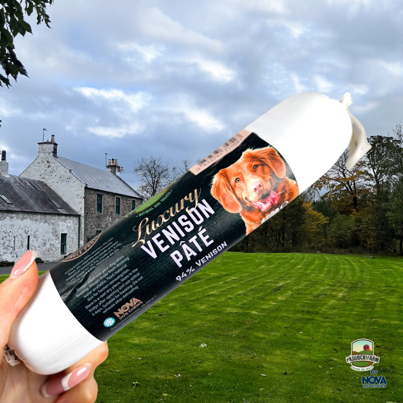 Luxury Venison Pate 400g