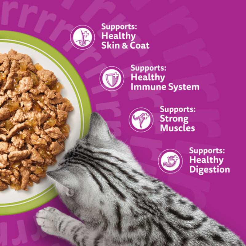 Whiskas Adult 1+ Mixed Menu in Jelly Pouches 85g x 40