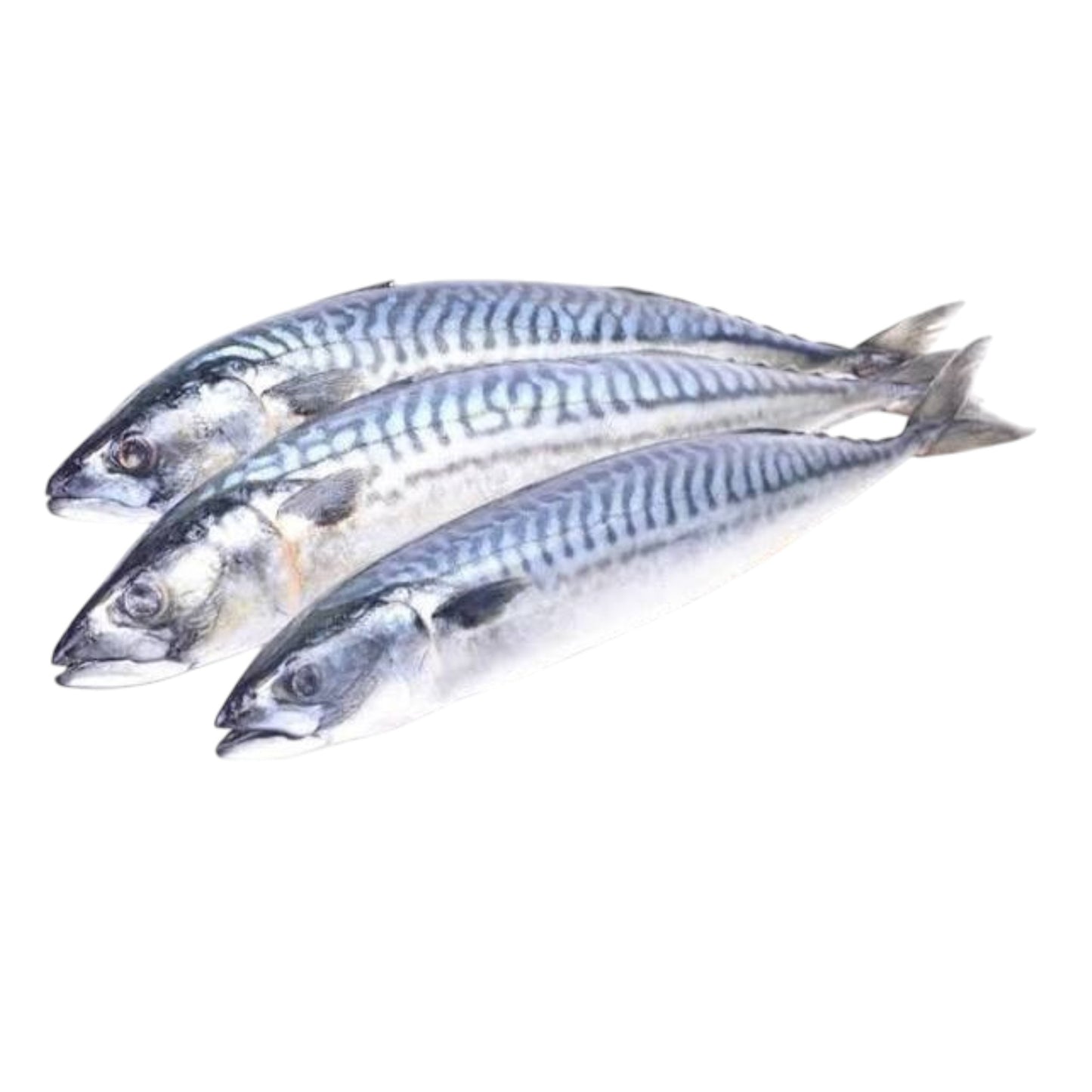 Reggie's - Whole Mackerel 1KG