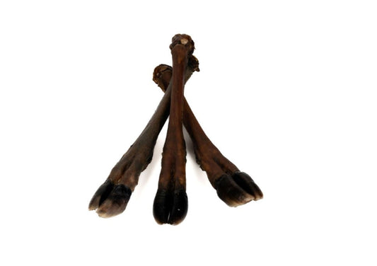 Venison Leg Large