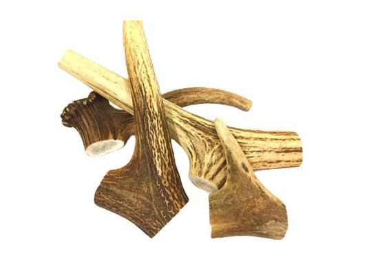Highland Antler Medium