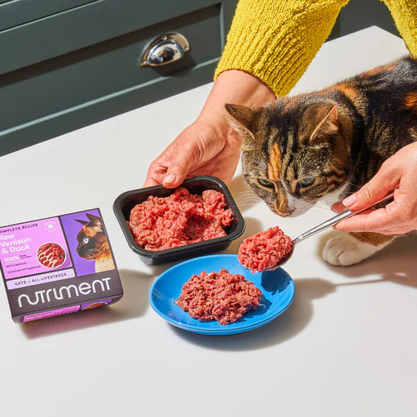 Cat Raw Chicken 500g