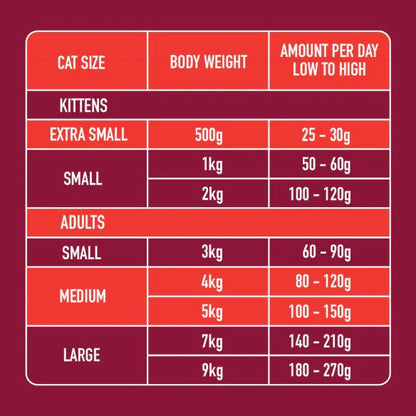 Cat Raw Beef 500g