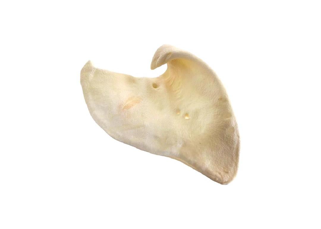 Sow Ears Puffed