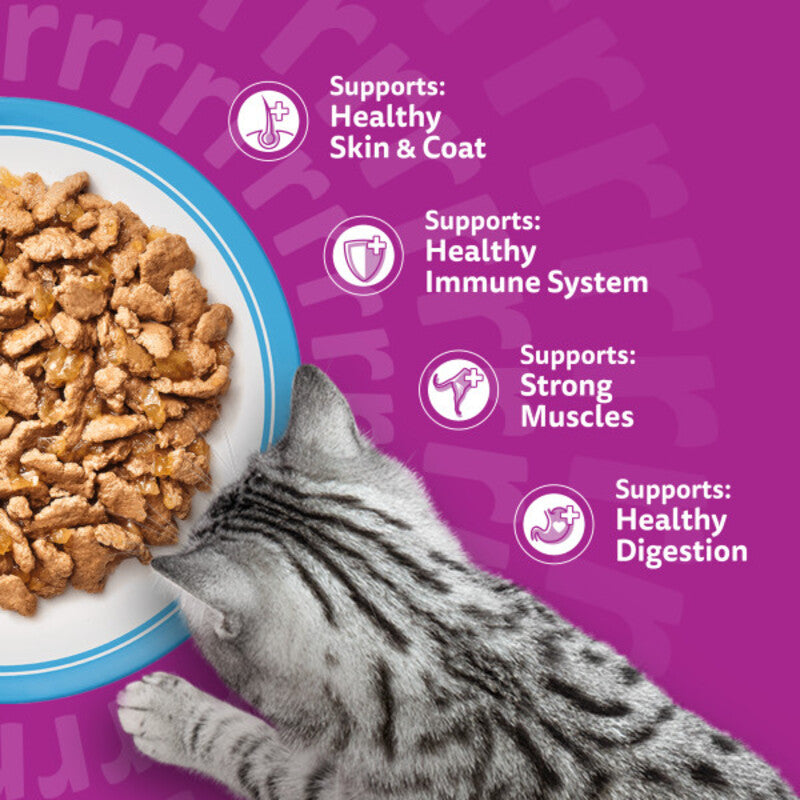 Whiskas Adult 1+ Fish Favourites in Jelly Pouches 85g x 80