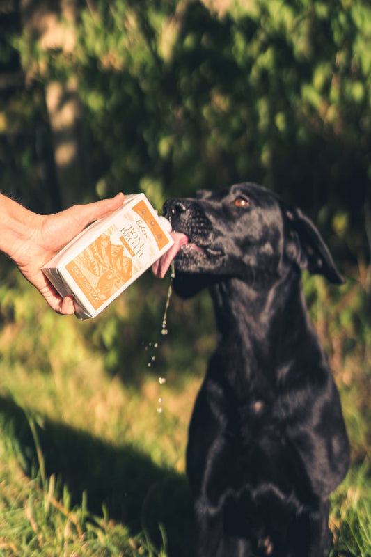 Eden Nordic Lamb Bone Broth 500ml