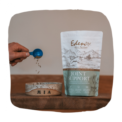 Eden Joint Support 250g