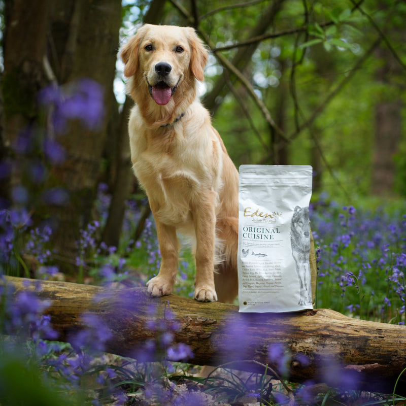 Eden 80/20 Original Cuisine 6kg