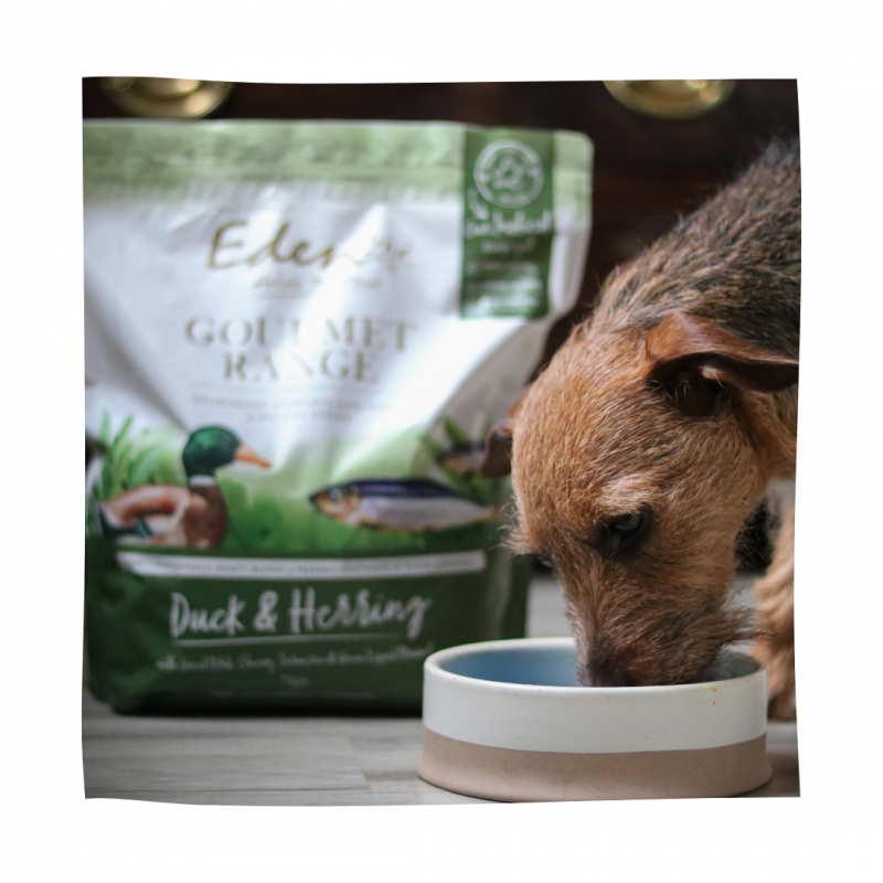 Eden Gourmet Range Duck & Herring 2KG