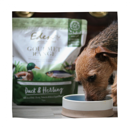 Eden Gourmet Range Duck & Herring 2KG
