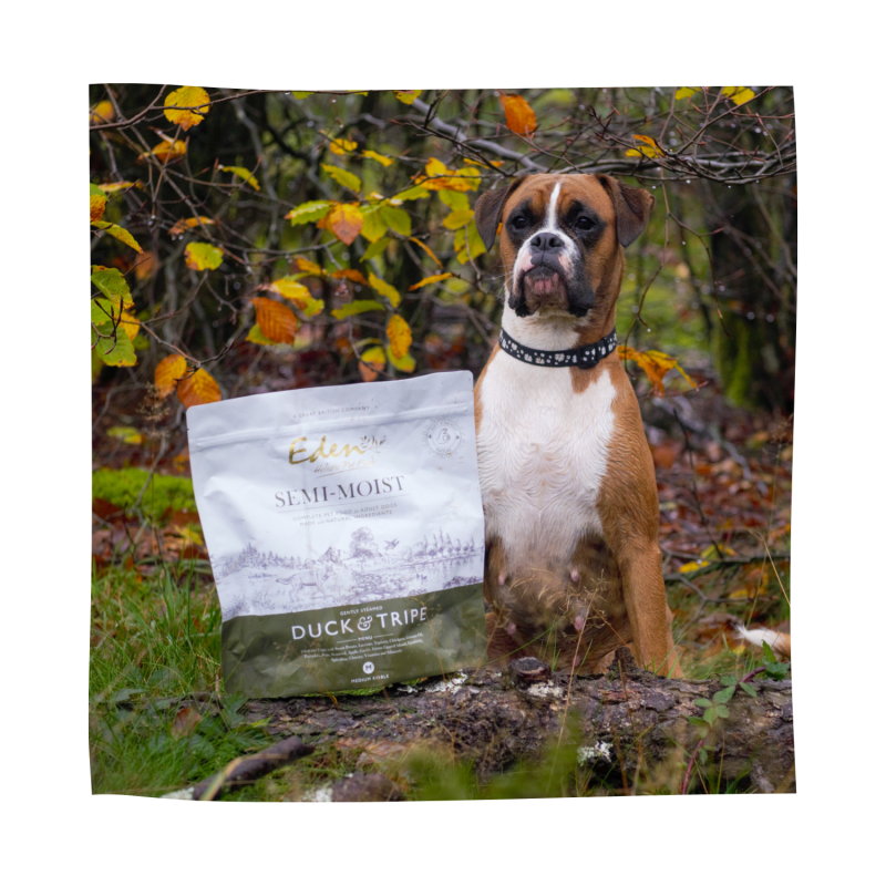 Eden 60/40 Succulent Semi-Moist Duck & Tripe 10kg