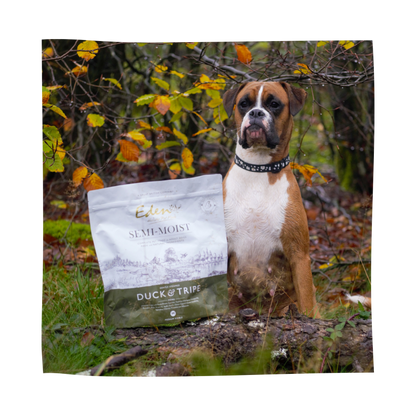 Eden 60/40 Succulent Semi-Moist Duck & Tripe 10kg